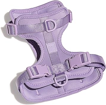 Wild One - Dog Harness - Medium